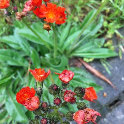 Tonyas Naturstübchen