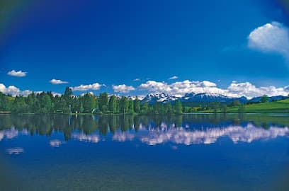 Seepark am Schwaltenweiher